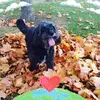 Edel Halpin - @edel.halpin - TikTok