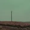 Ed Hannon - @ed.hannon - TikTok
