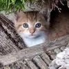 Edward c Hannon - @edward.c.hannon - TikTok
