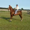 eddiehardison369 - @eddiehardison369 - TikTok