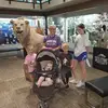 ediegorrellhargis - @ediegorrellhargis - TikTok