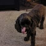 Ed Harty - @harty.ed - Instagram