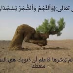 ﻣﺤﻤﺪﺣﺴﻦ ﻣﺤﻤﺪ - @moham.edhassan - Instagram