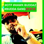ED Hawk Buddaz - Facebook