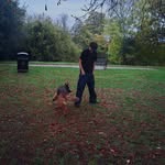 Ed Hawkins - @edhawkins21 - Instagram