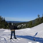 Ed Haynes - @edwearshaynes - Instagram