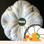 Ed Haynes - @ed.haynes2 - Instagram