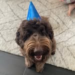 EdH - @edhaywardz - Instagram