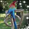 Eddy Hecker - @emanszoo1 - TikTok