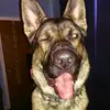 edheintz8 - @edheintz8 - TikTok