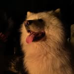 Edna Hembree - @hembreeedna - Instagram