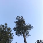 Ethan Hennigan - @ed_hennigan_content - Instagram