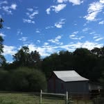 Edith Herndon - @herndonedith - Instagram