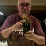 Ed Hesse - @printbear - Instagram