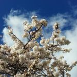 Ed Hicks - @ehix724 - Instagram