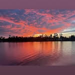 Ed Hicks - @edhicks2210 - Instagram