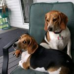 Ed Hicks - @biged2311 - Instagram
