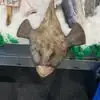 edwardhigdon - @edward.higdon - TikTok