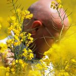 Eduardo Hoffmann - @eduardohoffmannart - Instagram