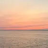 Nicole - @edwards.hollen - TikTok