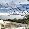 edhoo - @edoo08_ - TikTok