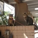 Ed Hubert - @edhubert2 - Instagram