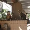 edhubert1941 - @edhubert1941 - TikTok