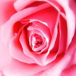 hudakayed3 - @hudakayed32 - Instagram