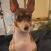ED Haggard - Facebook