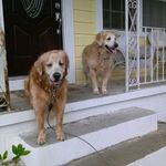 ED Huggard - @edhuggard - Instagram