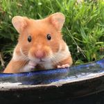 Ed Hutton-Wortley - @edhuttonwortley - Instagram