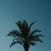 BingleDingle - @bingledinglee - TikTok