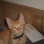 Ed Ingle - Facebook