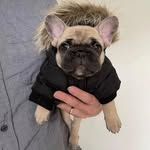 Edison - @edison10030 - Instagram