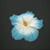 edynn2pretty💍💍 - @edynnjacobson - TikTok