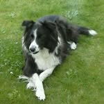 Ed Janssen - @ed.janssen.79 - Instagram
