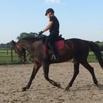 Ed Janssens - @ed.janssens - Instagram