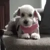 judyedkin8698 - @judyedkin8698 - TikTok
