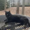 kaydencrowley466 - @edjun46 - TikTok