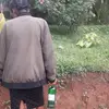 Edith Katiba - @edith.katiba - TikTok