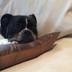Ed Kearney - @kearney.ed - Instagram