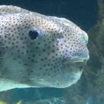 Ed Kellerman - Facebook