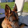 edkelliher - @edkelliher - TikTok
