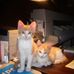 Edward Kelliher - Facebook
