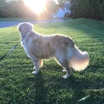 Ed Kern - @edkern - Instagram