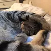 ed. - @.edkerrigan - TikTok