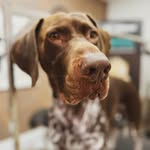 Edward Kirkley - @kamfanamjoo - Instagram