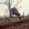 😂🐎❤️😂 - @eddy.du.kleiner.teddy - TikTok