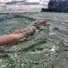 Edgar Kleiner - @kleinereleven - TikTok