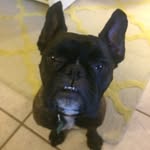 @edkleiner - Instagram